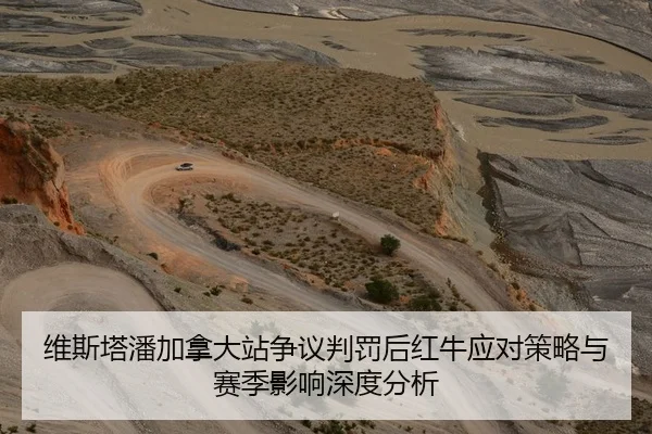 维斯塔潘加拿大站争议判罚后红牛应对策略与赛季影响深度分析