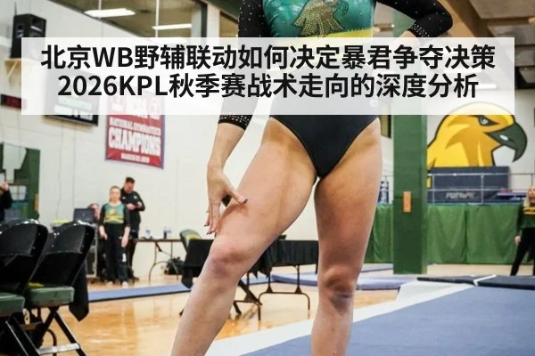 北京WB野辅联动如何决定暴君争夺决策 2026KPL秋季赛战术走向的深度分析
